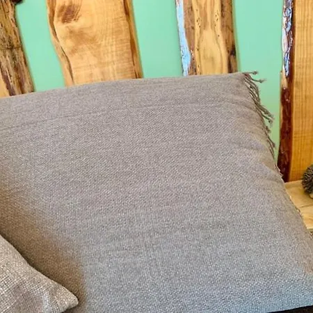 农家乐 Violati 圣杰米尼